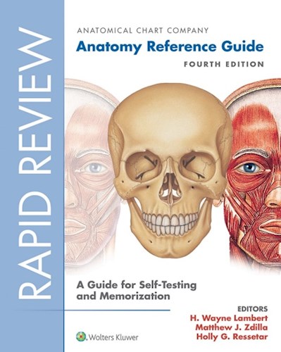  Rapid Review  Anatomy Reference Guide