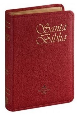 Papel Santa Biblia Bordo