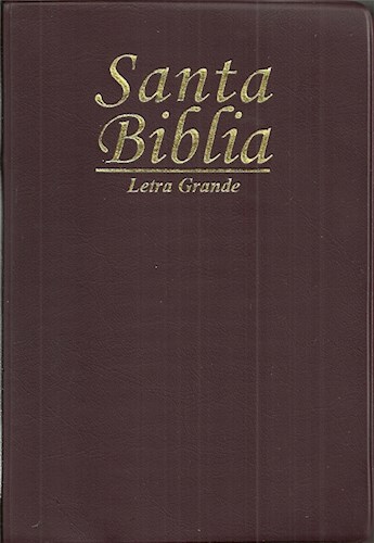 Papel Santa Biblia Letra Grande
