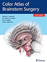 Papel Color Atlas of Brainstem Surgery