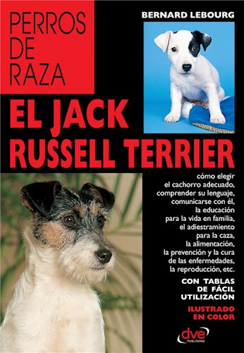  El Jack Russell Terrier
