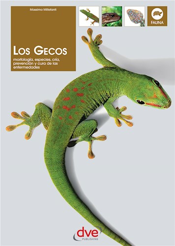  Los Gecos