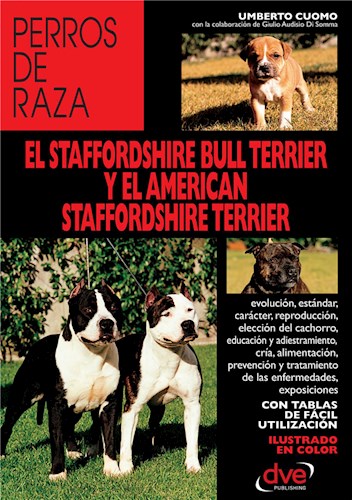  El Staffordshire Bull Terrier Y El American Staffordshire Terrier