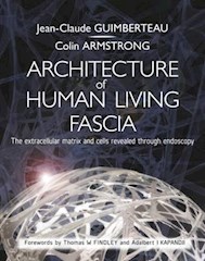 Papel Architecture Of Human Living Fascia
