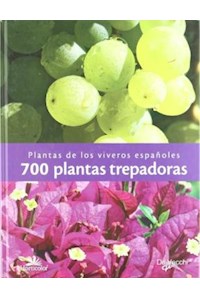 Papel 700 Plantas Trepadoras. Plantas De Los Viveros Espa/Oles