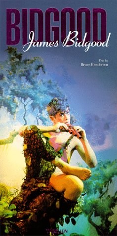 Papel JAMES BIDGOOD DESNUDOS GAYS (CARTONE)
