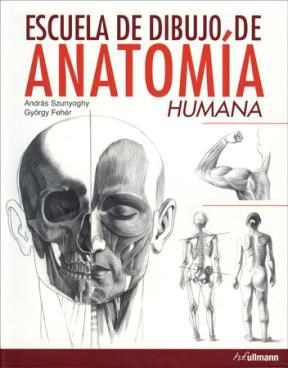 Papel Escuela De Dibujo De Anatomia Humana