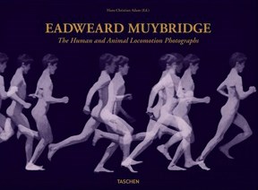 Papel EADWEARD MUYBRIDGE