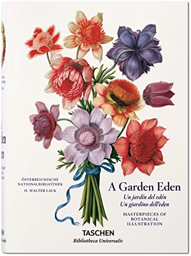  A Garden Eden Un Jardin Del Eden