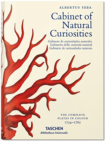 Papel Cabinet Of Natural Curiosisties (Inglés/Español/Italiano/Portugués)
