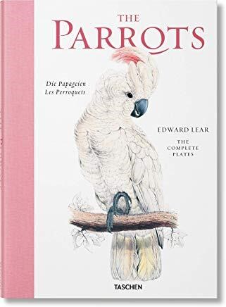 Papel Parrots, The