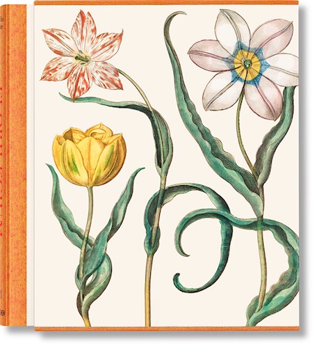 Papel BASILIUS BESLER (FLORILEGIUM / GARDEN AT EICHSTATT / BOOK OF PLANTS) (3 TOMOS) (CARTONE)