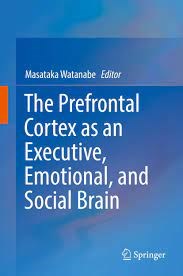 Papel The Prefrontal Cortex As an Executive, Emotional, and Social Brain
