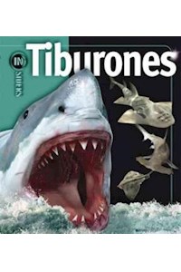 Papel Insiders - Tiburones