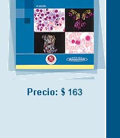 Papel FUNDAMENTOS DE HEMATOLOGIA (4 EDICION) (RUSTICA)