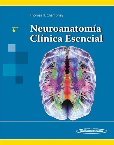 Papel Neuroanatomía Clínica Esencial