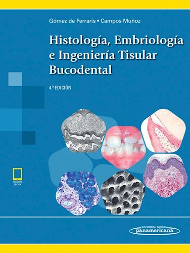 Papel Histología, Embriología e Ingeniería Tisular Bucodental Ed.4