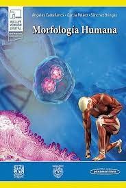 Papel MORFOLOGIA HUMANA (INCLUYE VERSION DIGITAL)