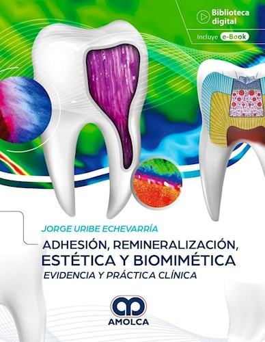 Papel Adhesión, Remineralización, Estética y Biomimética
