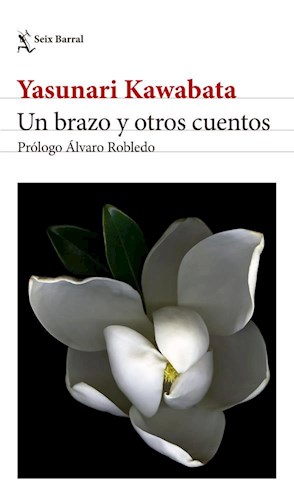 Papel UN BRAZO Y OTROS CUENTOS (EDICION 2024)