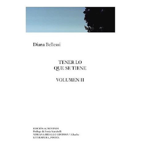 Papel TENER LO QUE SE TIENE (VOLUMEN II)