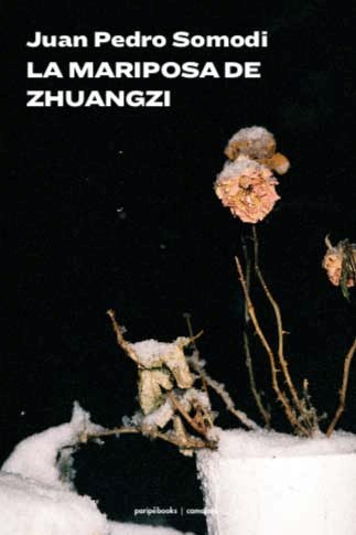 Papel MARIPOSA DE ZHUANGZI (SERIE CAMALOTE)