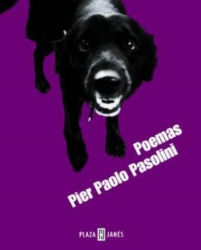 Papel POEMAS (PIER PAOLO PASOLINI) (COLECCION POESIA)