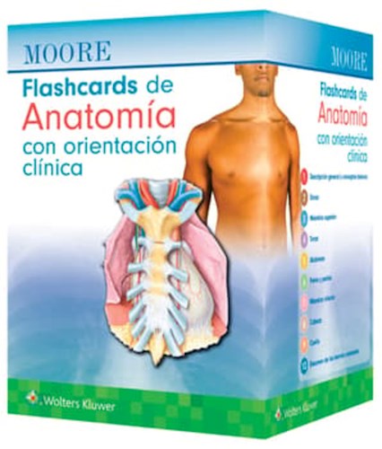 Papel Moore. Flashcards de Anatomía