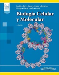 Papel Biología Celular Y Molecular Ed.9