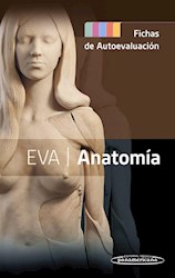 Papel Eva Anatomía. Fichas De Autoevaluación