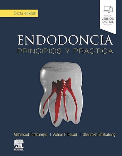 Papel Endodoncia Ed.6