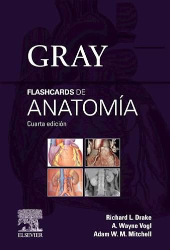  Gray  Flashcards de Anatomía