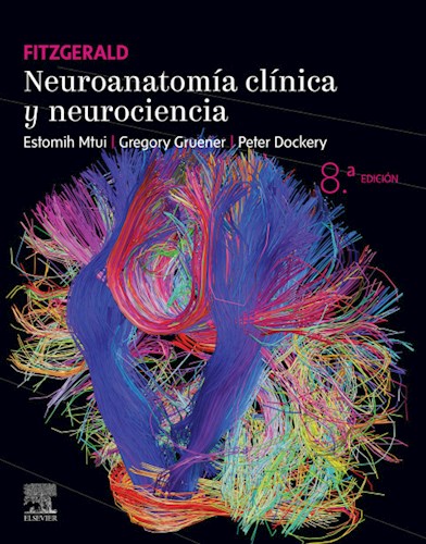 E-book Fitzgerald. Neuroanatomía clínica y neurociencia