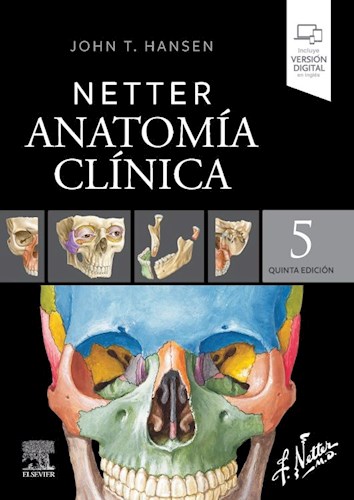 Papel Netter. Anatomía clínica Ed.5