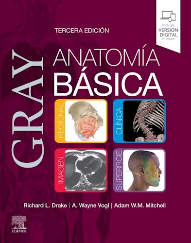 Papel GRAY Anatomía Básica Ed.3