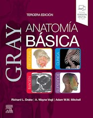 Papel Gray Anatomía Básica Ed.3