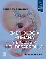 Papel Embriología Humana Y Biología Del Desarrollo Ed.7