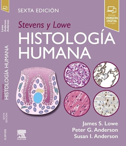 Papel Stevens y Lowe. Histología Humana Ed.6