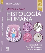 Papel Stevens Y Lowe. Histología Humana Ed.6 (Prox)