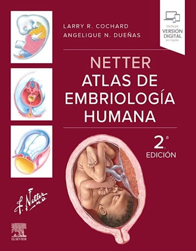 Papel Netter. Atlas de Embriología Humana Ed.2