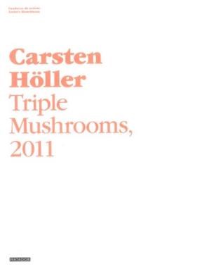 Papel CUADERNO DE ARTISTA CARSTEN HOLLER