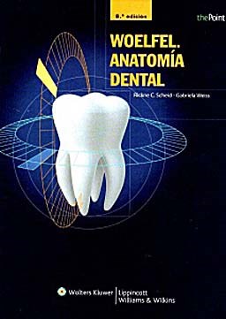 Papel Woelfel. Anatomia Dental Ed.8