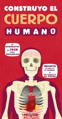 Papel Construyo El Cuerpo Humano (Incluye Esqueleto P/Armar)