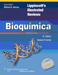 Papel Bioquimica (Serie Lir)