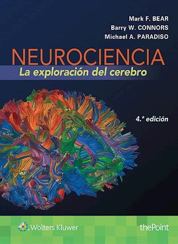 Papel Neurociencia