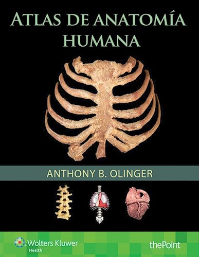 Papel Atlas de Anatomía Humana