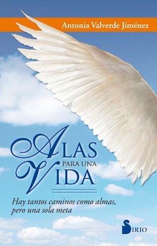 Papel ALAS PARA UNA VIDA HAY TANTOS CAMINOS COMO ALMAS PERO UNA SOLA META (RUSTICA)