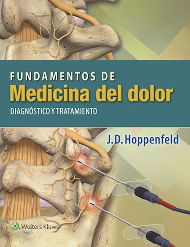 E-book Fundamentos de la medicina del dolor: Diagnóstico y tratamiento