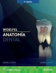 Papel Woelfel. Anatomía Dental Ed.9