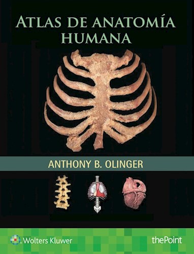 E-book Atlas de anatomía humana